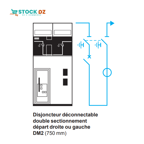 CELLULES DISJONCTEUR DOUBLE  SECTIONEMENT DM2