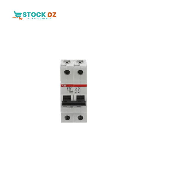 Disj modulaire 2P (15-15KA) S202P-C40