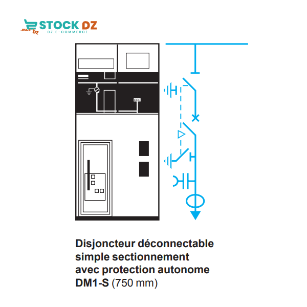 CELLULES DISJONCTEUR SIMPLE SECTIONEMENT DM1